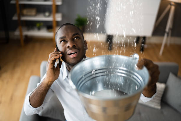 Best Water damage cleanup near me  in South Williamsport, PA