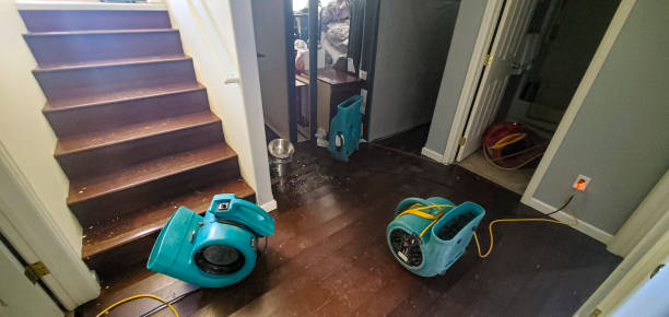 Water damage restoration experts in South Williamsport, PA