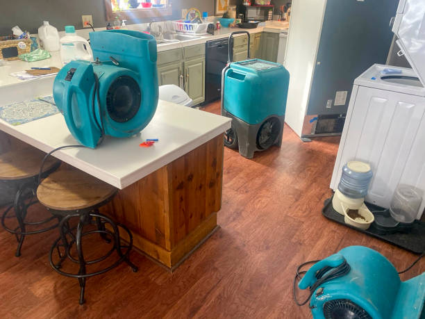 Best Water damage restoration near me  in South Williamsport, PA