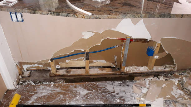 Best Water damage restoration mold remediation  in South Williamsport, PA