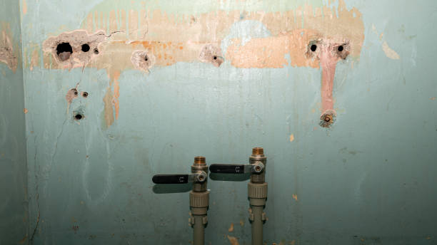 Best Local water damage restoration  in South Williamsport, PA