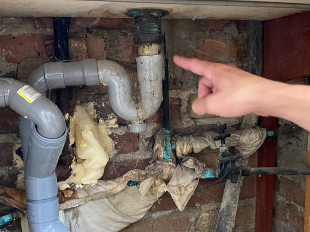 Best Basement water damage restoration  in South Williamsport, PA